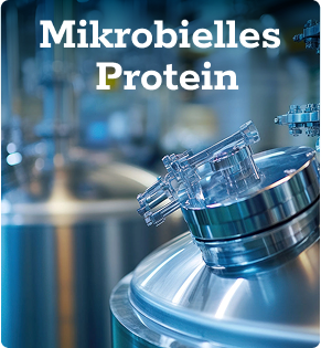 Mikrobielles Protein