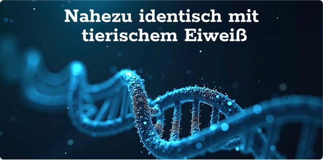 Nahezu identisch mit tierischem Eiweiß