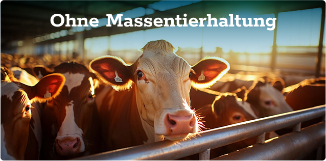 Ohne Massentierhaltung