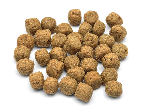 MicroBell Hundefutter